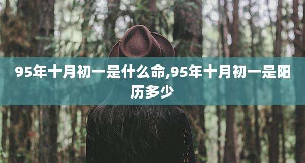 95年十月初一是什么命,95年十月初一是阳历多少
