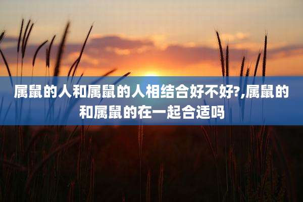 属鼠的人和属鼠的人相结合好不好?,属鼠的和属鼠的在一起合适吗