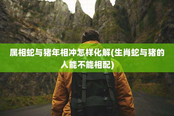 属相蛇与猪年相冲怎样化解(生肖蛇与猪的人能不能相配)