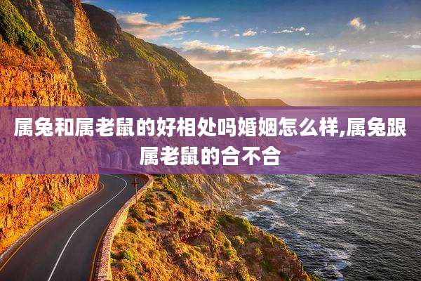 属兔和属老鼠的好相处吗婚姻怎么样,属兔跟属老鼠的合不合
