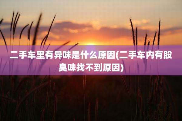 二手车里有异味是什么原因(二手车内有股臭味找不到原因)