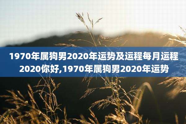 1970年属狗男2020年运势及运程每月运程 2020你好,1970年属狗男2020年运势