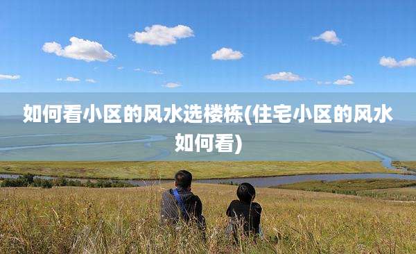 如何看小区的风水选楼栋(住宅小区的风水如何看)