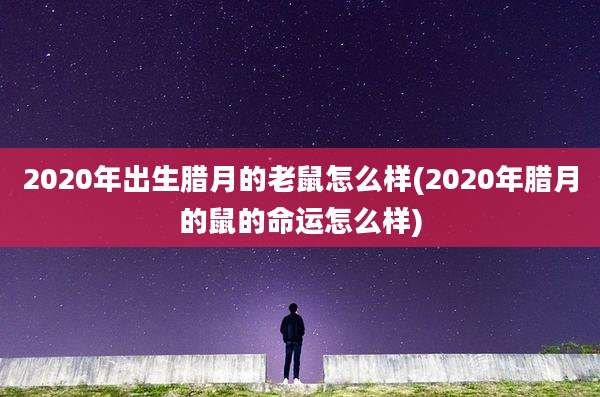 2020年出生腊月的老鼠怎么样(2020年腊月的鼠的命运怎么样)