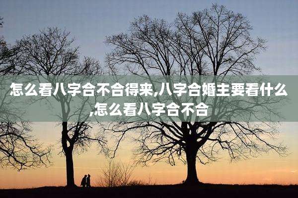 怎么看八字合不合得来,八字合婚主要看什么,怎么看八字合不合