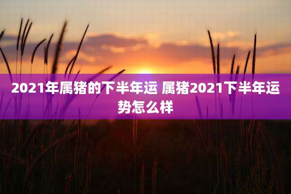 2021年属猪的下半年运 属猪2021下半年运势怎么样