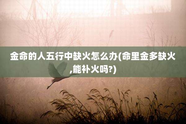 金命的人五行中缺火怎么办(命里金多缺火,能补火吗?)