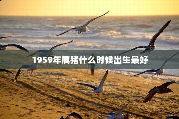 1959年属猪什么时候出生最好