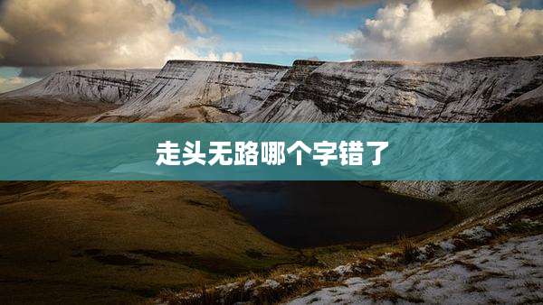 走头无路哪个字错了