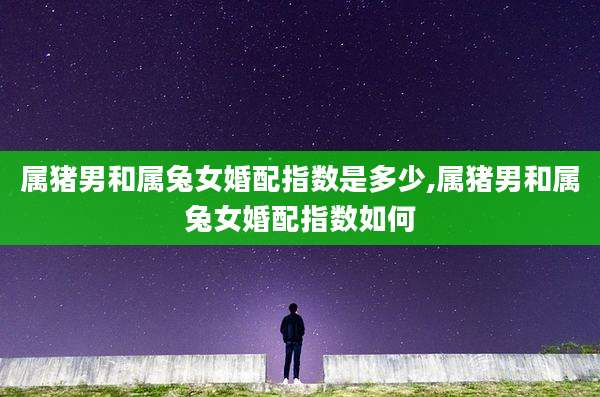 属猪男和属兔女婚配指数是多少,属猪男和属兔女婚配指数如何