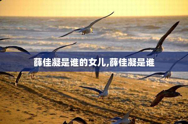 薛佳凝是谁的女儿,薛佳凝是谁