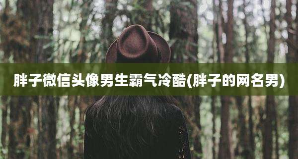 胖子微信头像男生霸气冷酷(胖子的网名男)