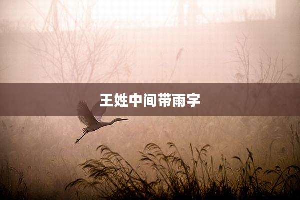 王姓中间带雨字