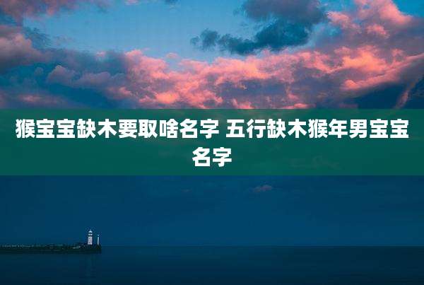 猴宝宝缺木要取啥名字 五行缺木猴年男宝宝名字