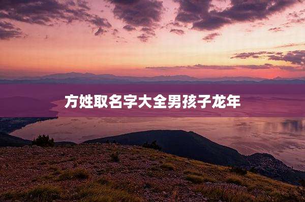 方姓取名字大全男孩子龙年