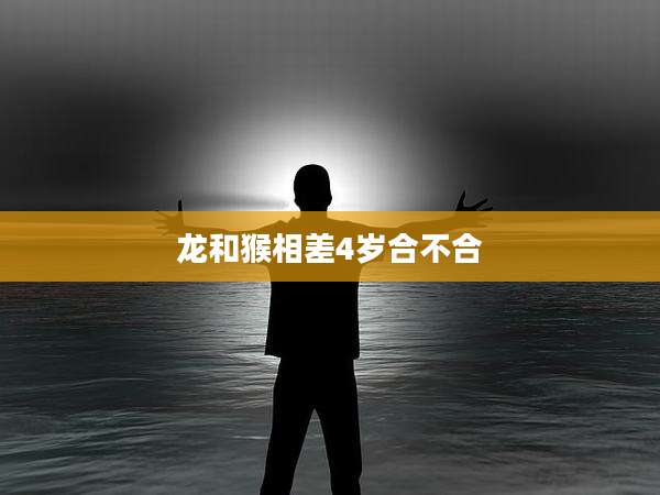 龙和猴相差4岁合不合