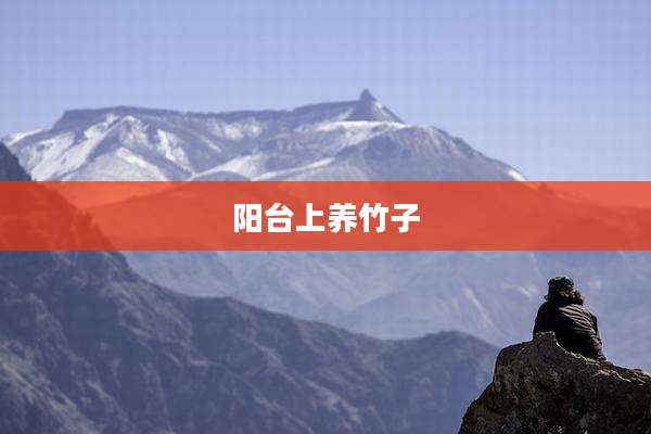 阳台上养竹子