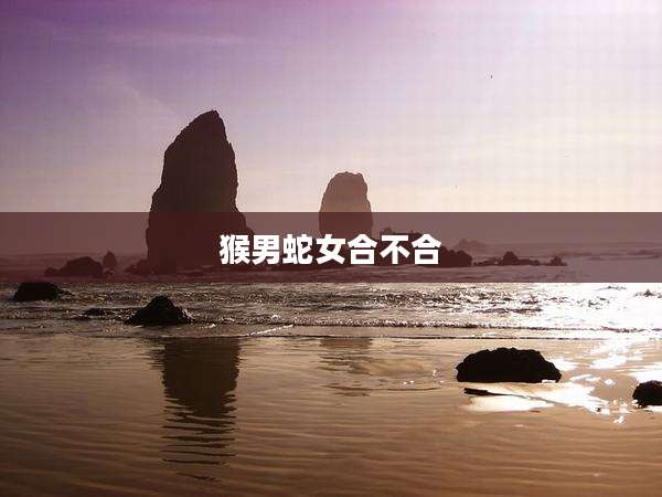 猴男蛇女合不合
