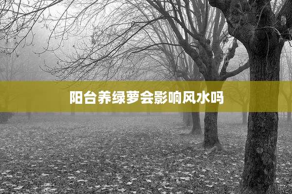 阳台养绿萝会影响风水吗