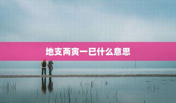 地支两寅一巳什么意思