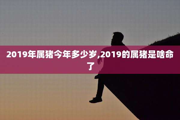 2019年属猪今年多少岁,2019的属猪是啥命了