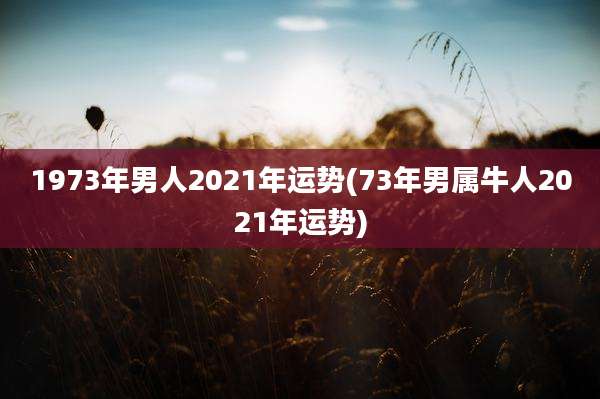 1973年男人2021年运势(73年男属牛人2021年运势)