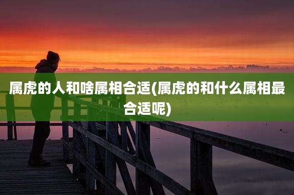 属虎的人和啥属相合适(属虎的和什么属相最合适呢)