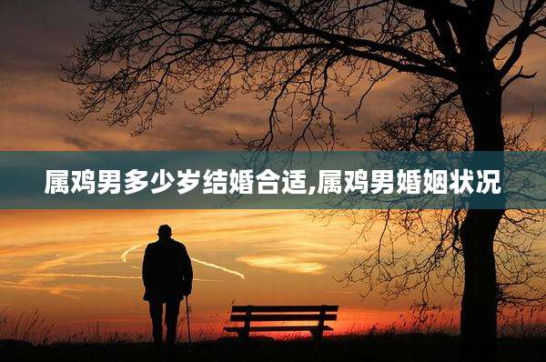 属鸡男多少岁结婚合适,属鸡男婚姻状况