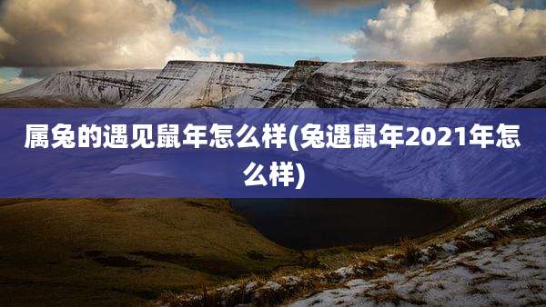 属兔的遇见鼠年怎么样(兔遇鼠年2021年怎么样)