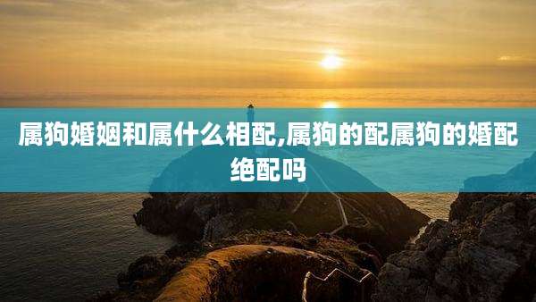 属狗婚姻和属什么相配,属狗的配属狗的婚配绝配吗