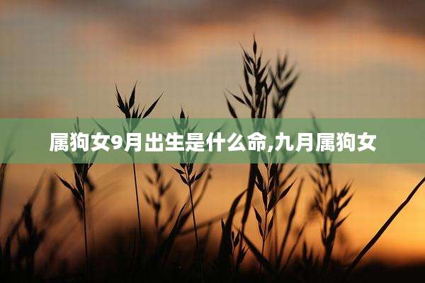 属狗女9月出生是什么命,九月属狗女
