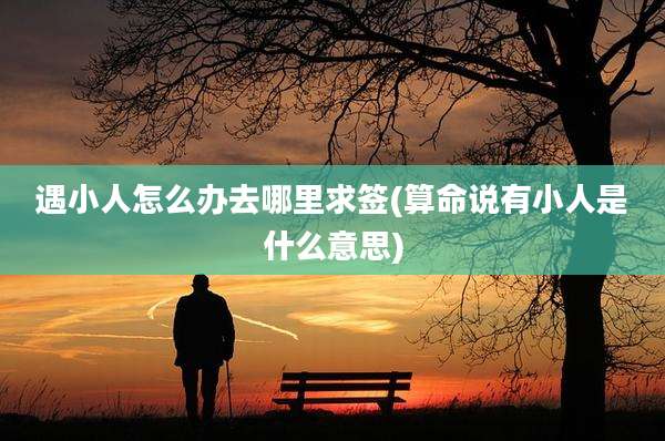 遇小人怎么办去哪里求签(算命说有小人是什么意思)