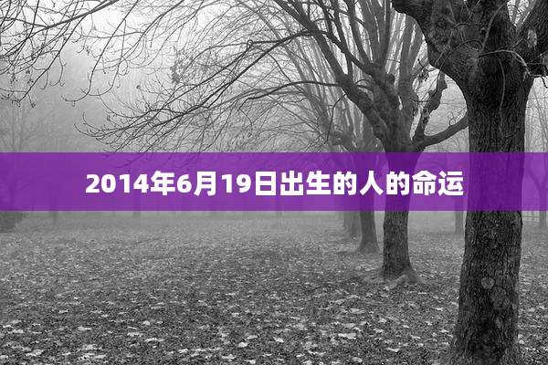 2014年6月19日出生的人的命运