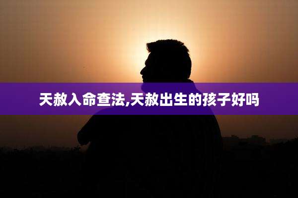 天赦入命查法,天赦出生的孩子好吗