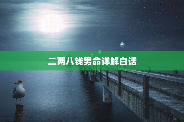 二两八钱男命详解白话