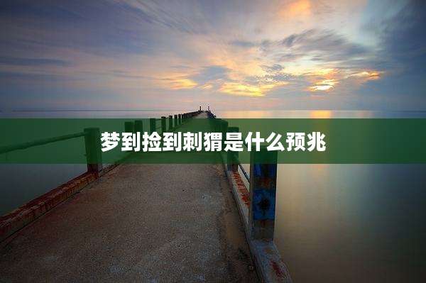 梦到捡到刺猬是什么预兆