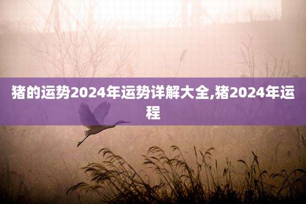 猪的运势2024年运势详解大全,猪2024年运程