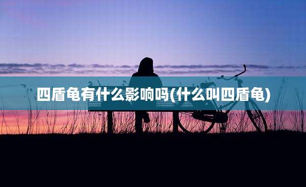 四盾龟有什么影响吗(什么叫四盾龟)