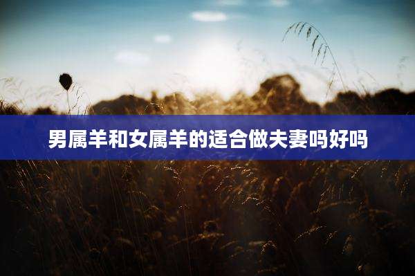 男属羊和女属羊的适合做夫妻吗好吗