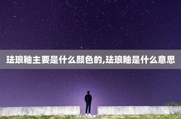 珐琅釉主要是什么颜色的,珐琅釉是什么意思