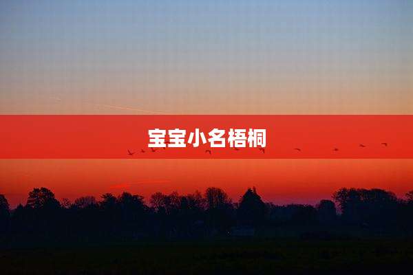 宝宝小名梧桐