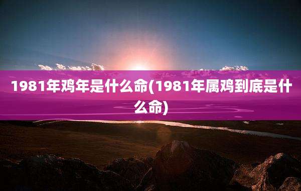 1981年鸡年是什么命(1981年属鸡到底是什么命)
