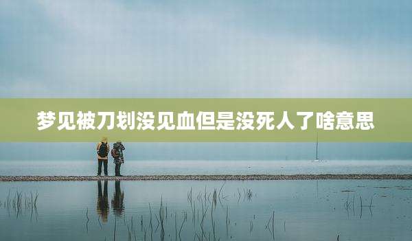 梦见被刀划没见血但是没死人了啥意思