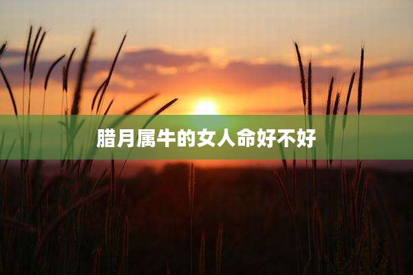 腊月属牛的女人命好不好