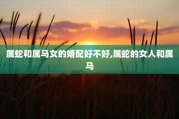 属蛇和属马女的婚配好不好,属蛇的女人和属马