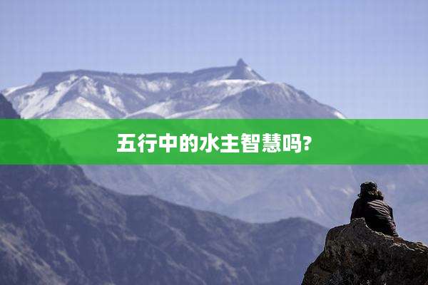 五行中的水主智慧吗?