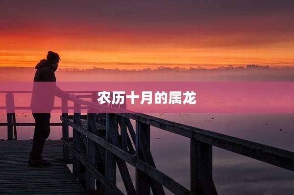 农历十月的属龙