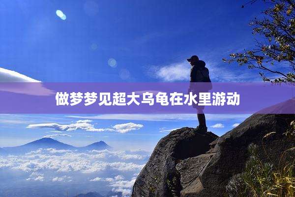 做梦梦见超大乌龟在水里游动