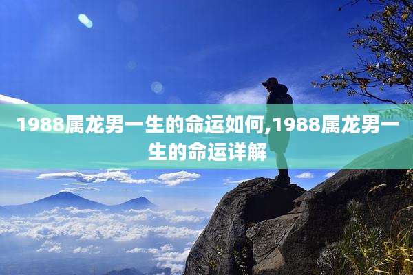 1988属龙男一生的命运如何,1988属龙男一生的命运详解