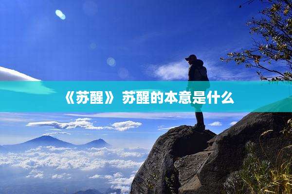《苏醒》 苏醒的本意是什么